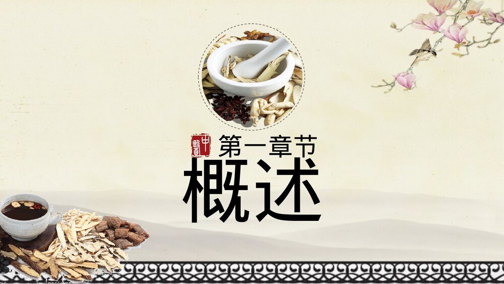 中国风传统中医药养生方法特点介绍PPT课件3