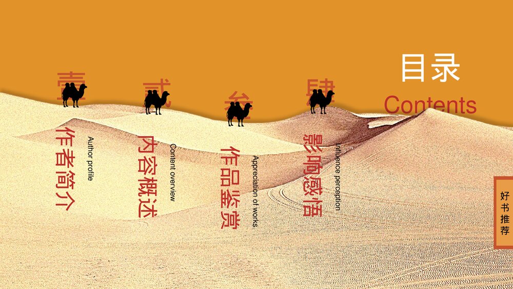 《撒哈拉的故事》名著导读好书推荐PPT课件2