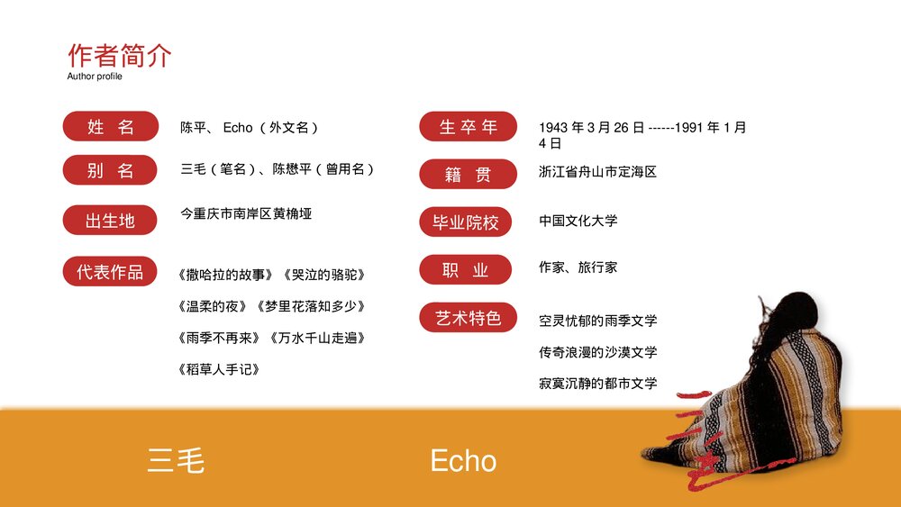 《撒哈拉的故事》名著导读好书推荐PPT课件4