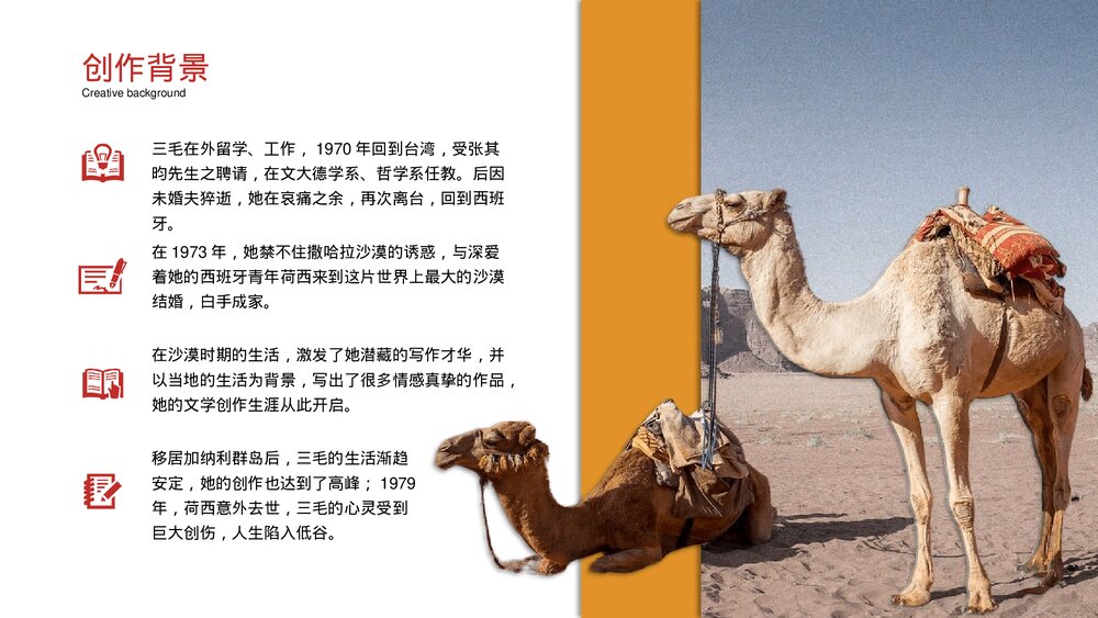 《撒哈拉的故事》名著导读好书推荐PPT课件7