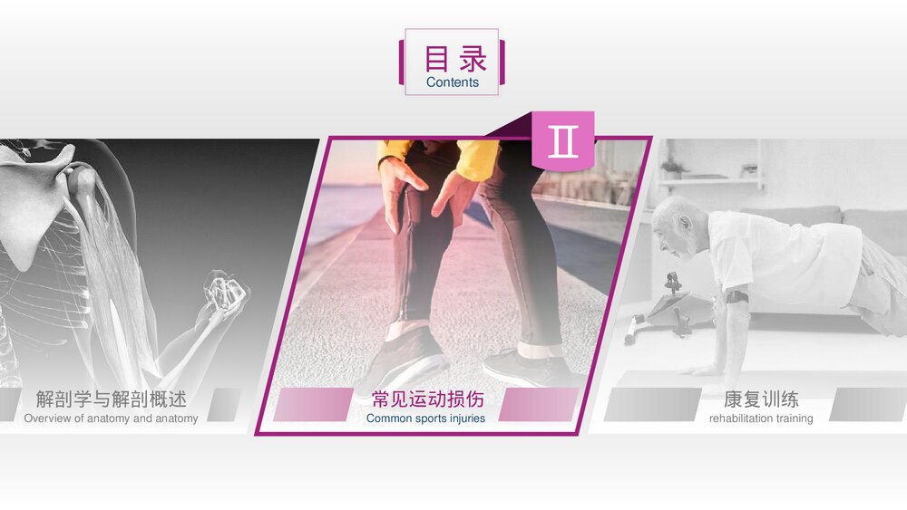 运动损伤解剖学康复训练PPT课件(带内容)3