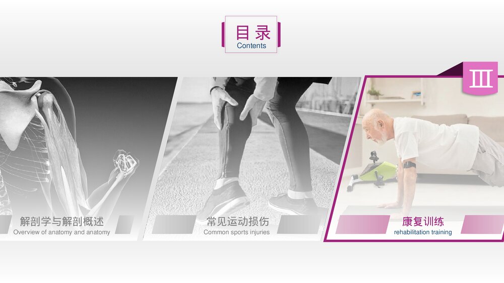 运动损伤解剖学康复训练PPT课件(带内容)4