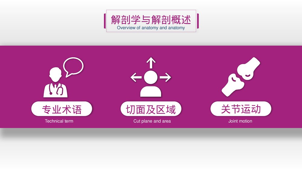 运动损伤解剖学康复训练PPT课件(带内容)6