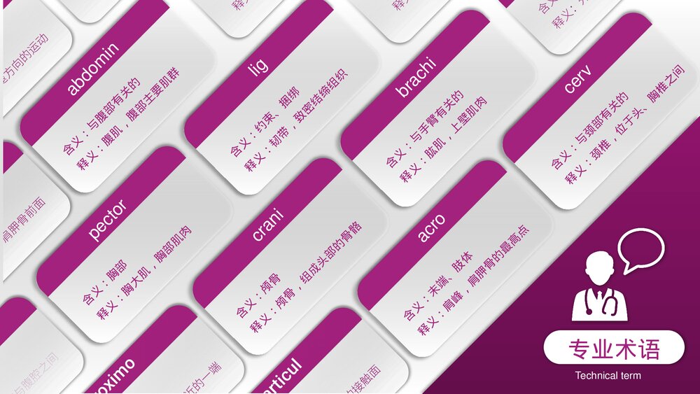 运动损伤解剖学康复训练PPT课件(带内容)7