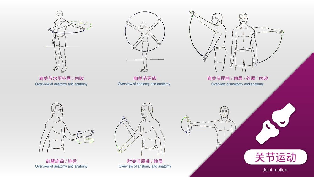 运动损伤解剖学康复训练PPT课件(带内容)9