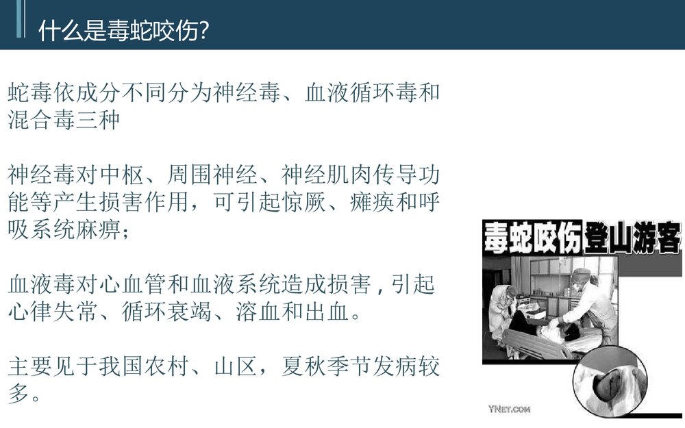 蛇咬伤PBL护理教学查房PPT课件(带内容)9