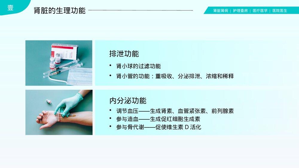 肾炎肾衰竭肾脏肾病护理查房PPT课件(带内容)6