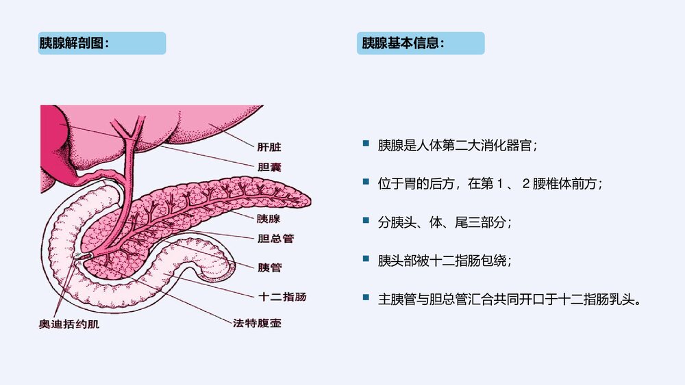 急性胰腺炎护理查房健康教育PPT课件(带内容)7