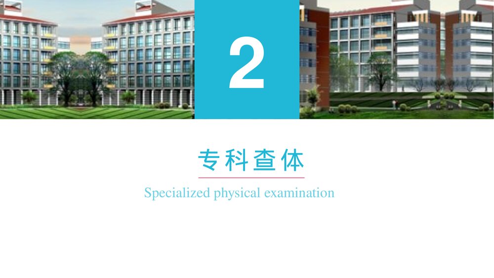骨盆骨折术后康复病例分享PPT课件(带内容)6