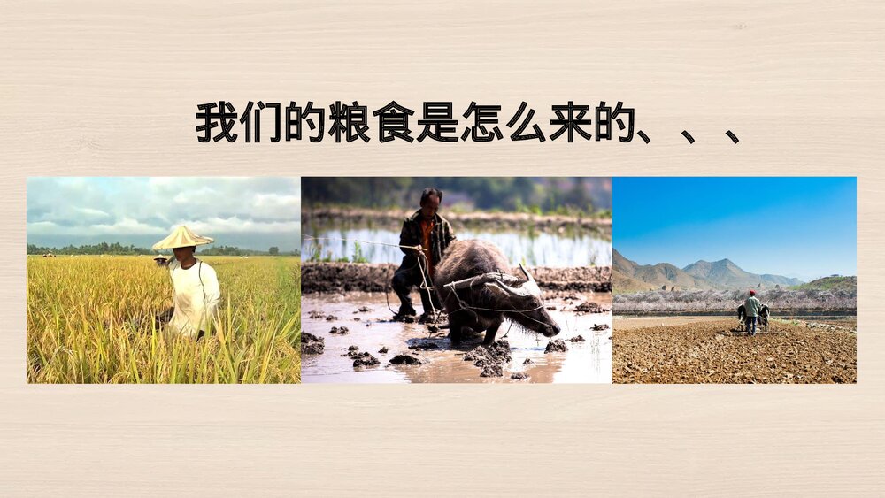 节约粮食拒绝浪费主题教育班会PPT课件(带内容)8