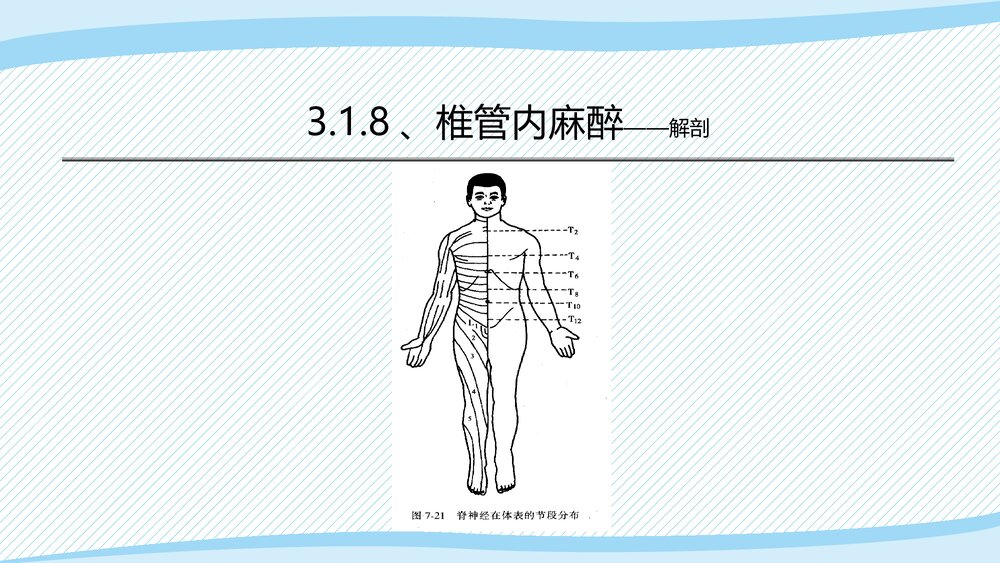 医疗教学课件之·椎管内麻醉PPT课件(带内容)10