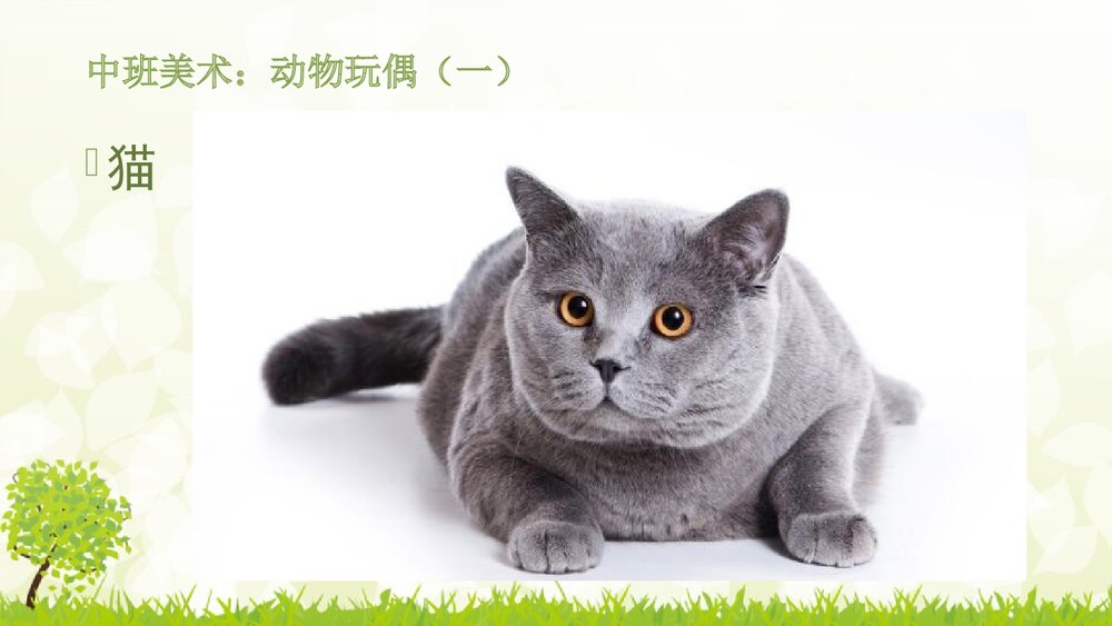 《动物玩偶》幼儿园中班美术课件PPT4