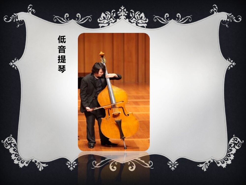 小学一年级音乐上册《引子与狮王进行曲》教学PPT课件9