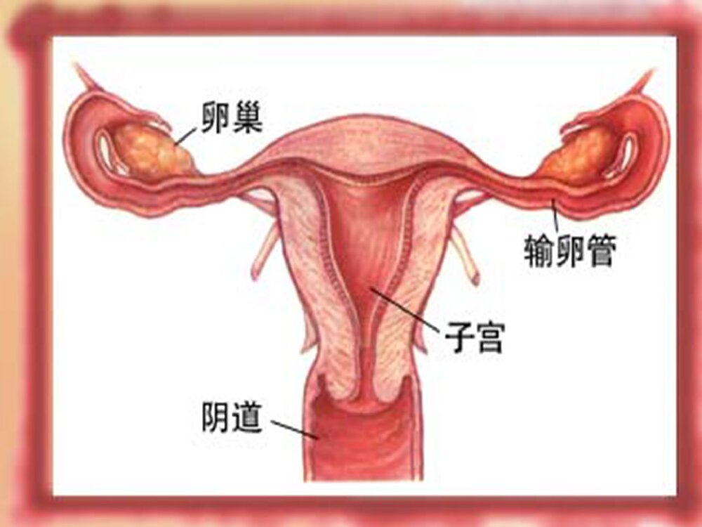 宫外孕的急救护理PPT课件(电子版·可编辑修改)7