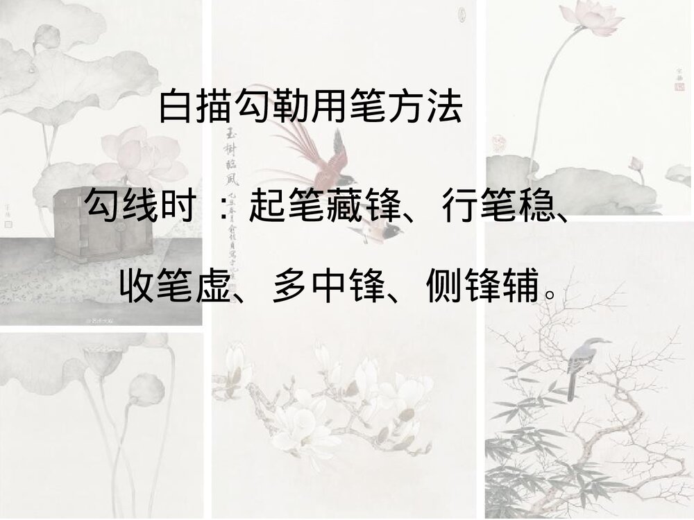 《工笔花卉》小学美术公开课PPT下载2