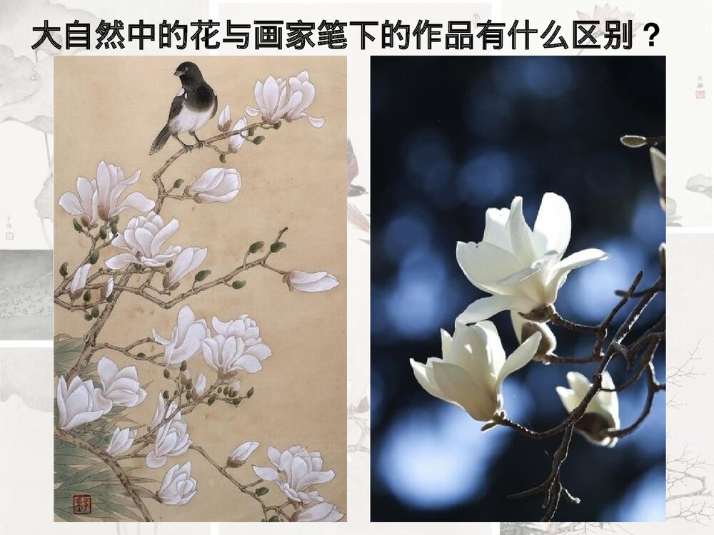 《工笔花卉》小学美术公开课PPT下载4