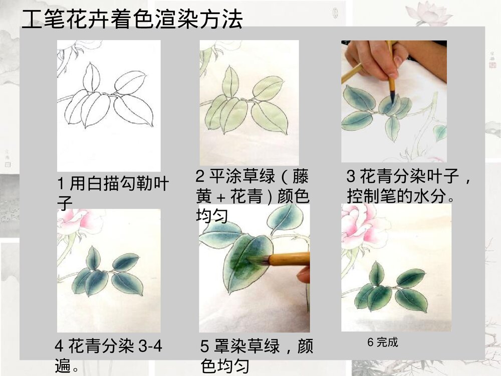 《工笔花卉》小学美术公开课PPT下载7