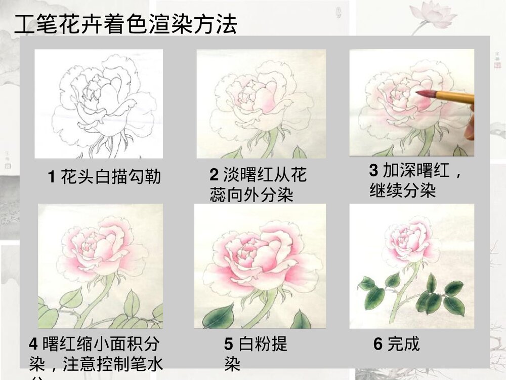 《工笔花卉》小学美术公开课PPT下载8