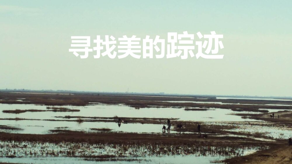 《寻找美的踪迹》小学美术公开课PPT课件下载1