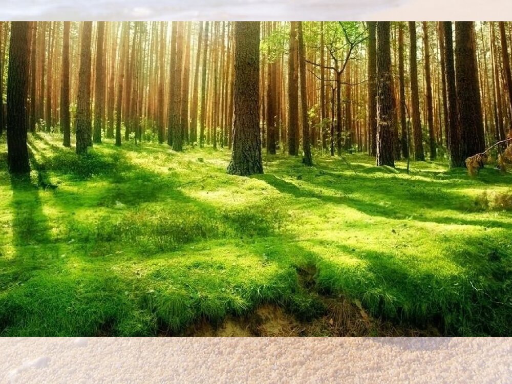 《寻找美的踪迹》人教版六年级下册美术课件PPT下载6