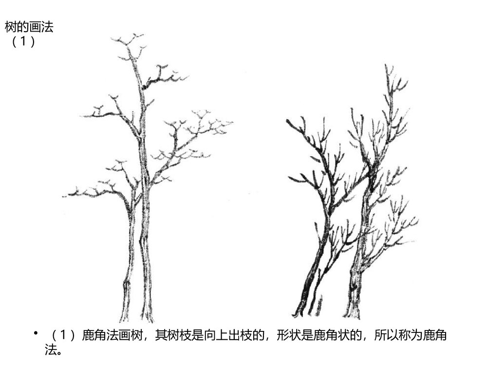 《彩墨家园》六年级美术课件PPT下载6