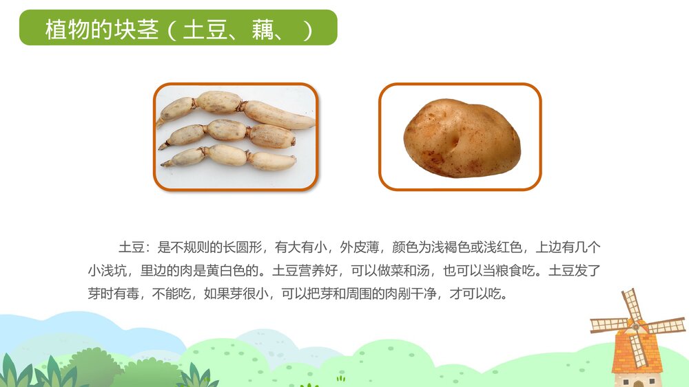 《我爱吃蔬菜》幼儿园小班健康活动教学PPT课件7