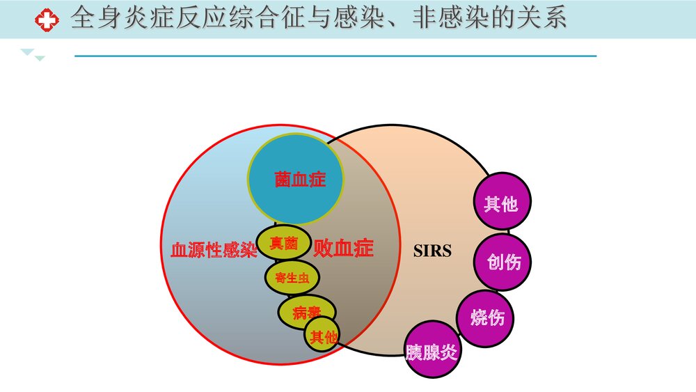 脓毒血症-护理查房报告PPT课件(带内容文字)9