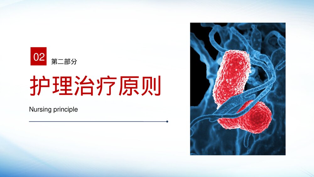 肺炎感染护理培训PPT课件-肺炎护理PPT课件8