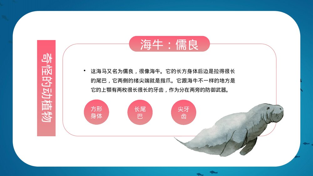 名著导读《海底两万里》读书分享会·小说解读PPT课件10