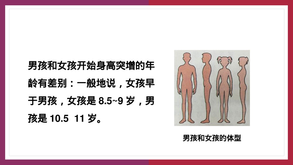 人教版生物·七年级下册《青春期》PPT课件7