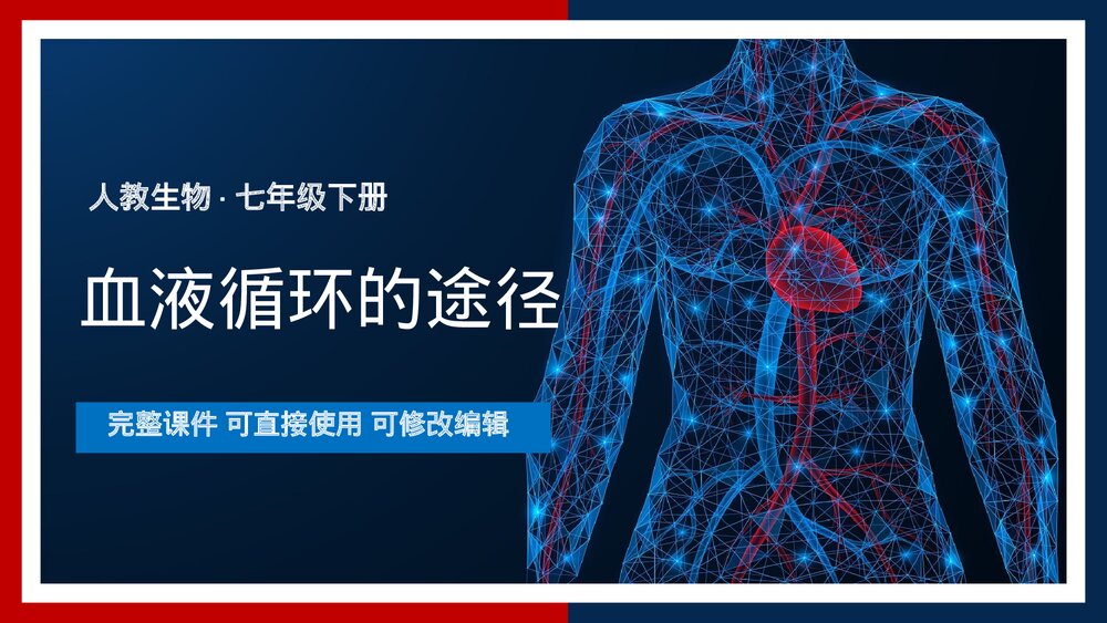 人教版·生物·七年级下册《血液循环的途径》PPT课件1