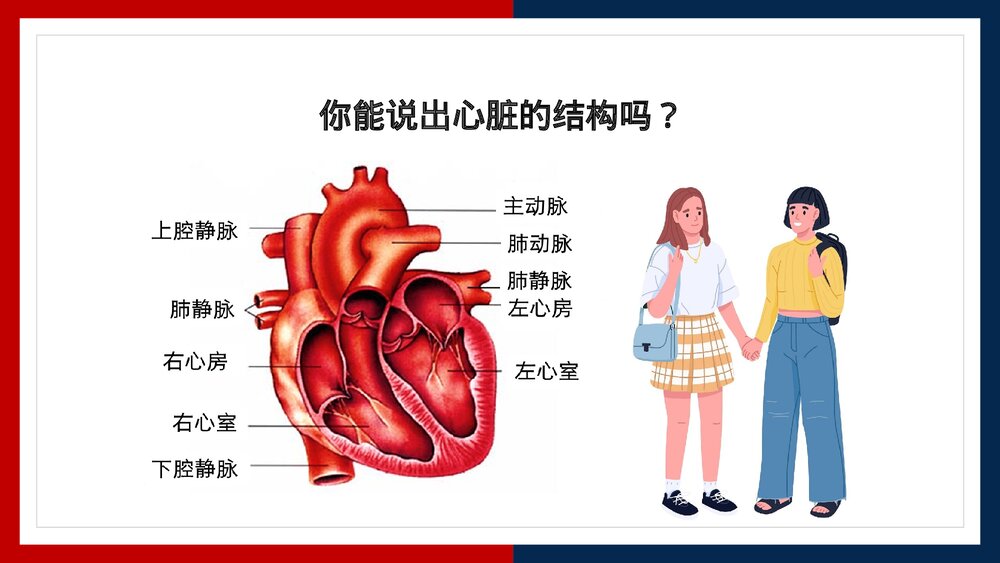 人教版·生物·七年级下册《血液循环的途径》PPT课件2