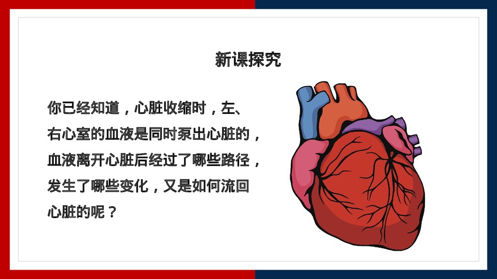 人教版·生物·七年级下册《血液循环的途径》PPT课件3