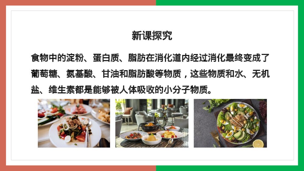 人教版·生物·七年级下册《营养物质的吸收》PPT课件2