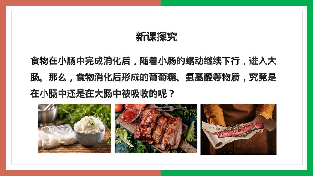 人教版·生物·七年级下册《营养物质的吸收》PPT课件3