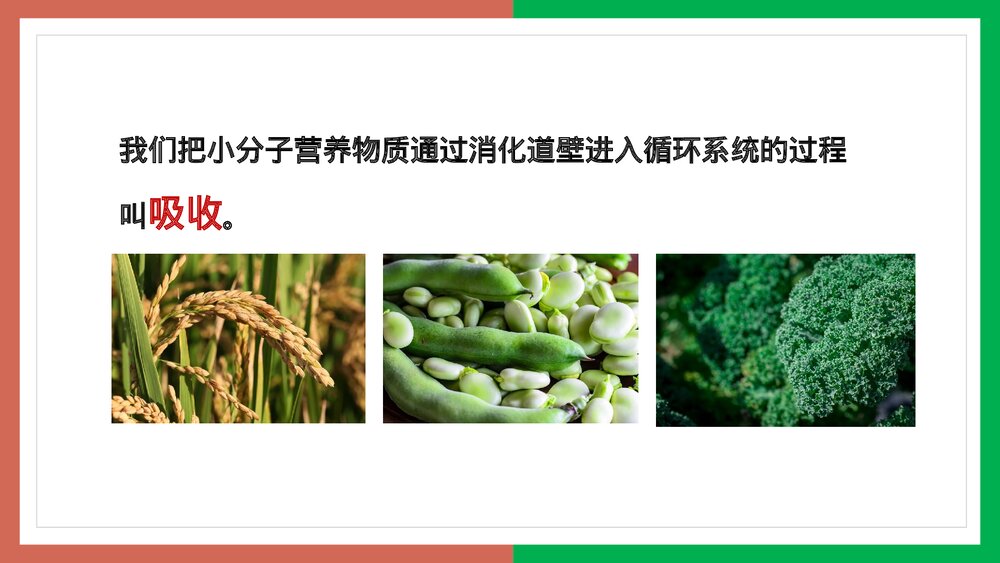 人教版·生物·七年级下册《营养物质的吸收》PPT课件4