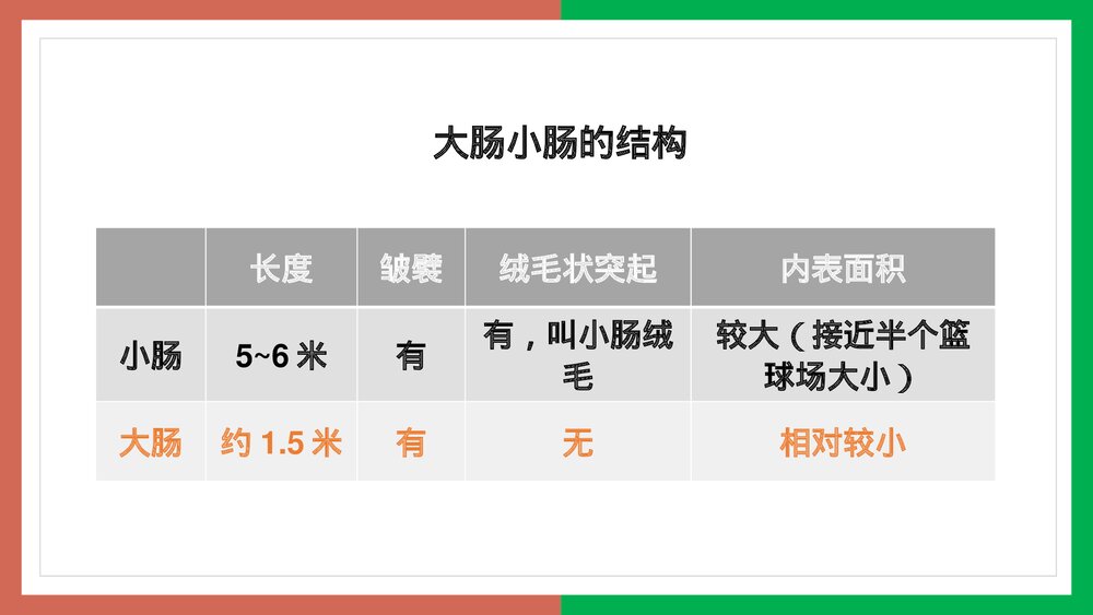 人教版·生物·七年级下册《营养物质的吸收》PPT课件6