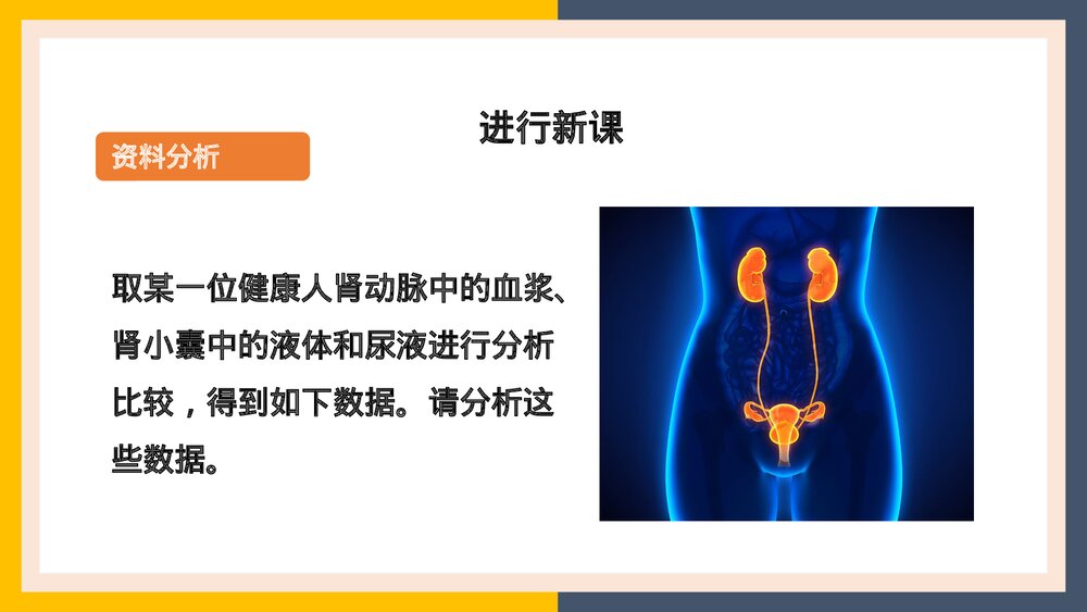人教版生物·七年级下册《人体内废物的排出尿的形成和排出》PPT课件3