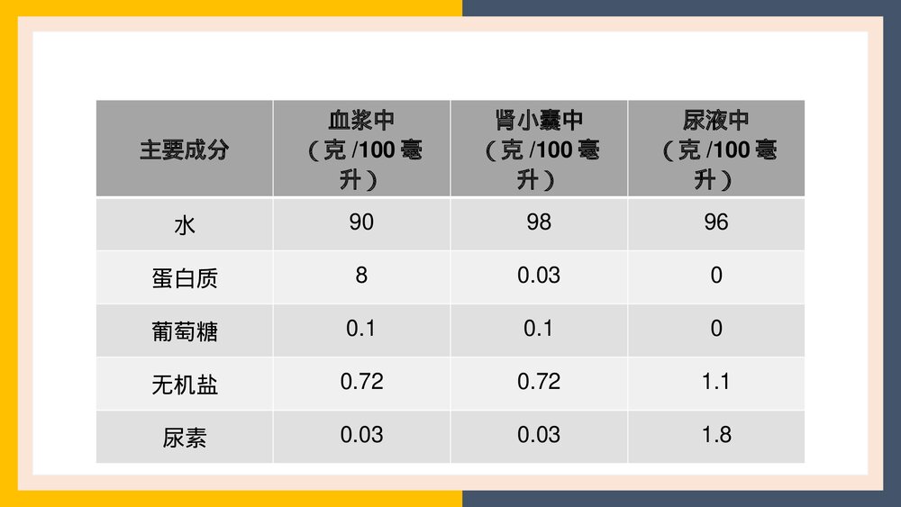 人教版生物·七年级下册《人体内废物的排出尿的形成和排出》PPT课件4