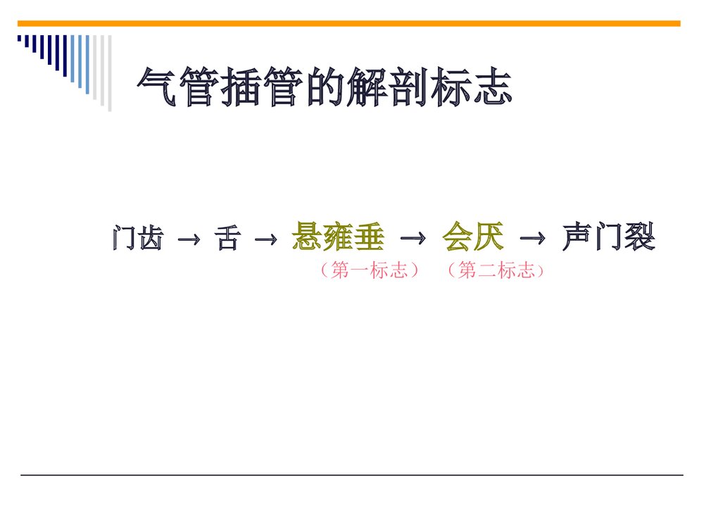 气管插管操作流程PPT课件(带内容文字·图片)9