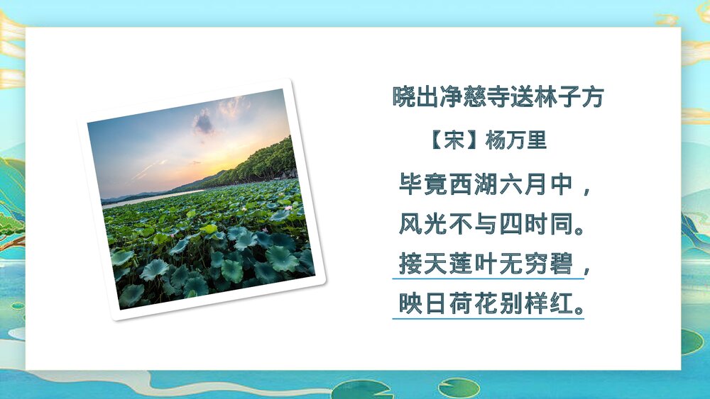 小学语文部编版三年级下册《荷花》教师公开课PPT课件3