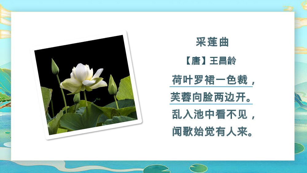 小学语文部编版三年级下册《荷花》教师公开课PPT课件4