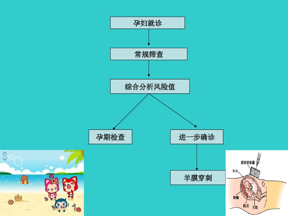 21三体综合征产前诊断PPT课件3