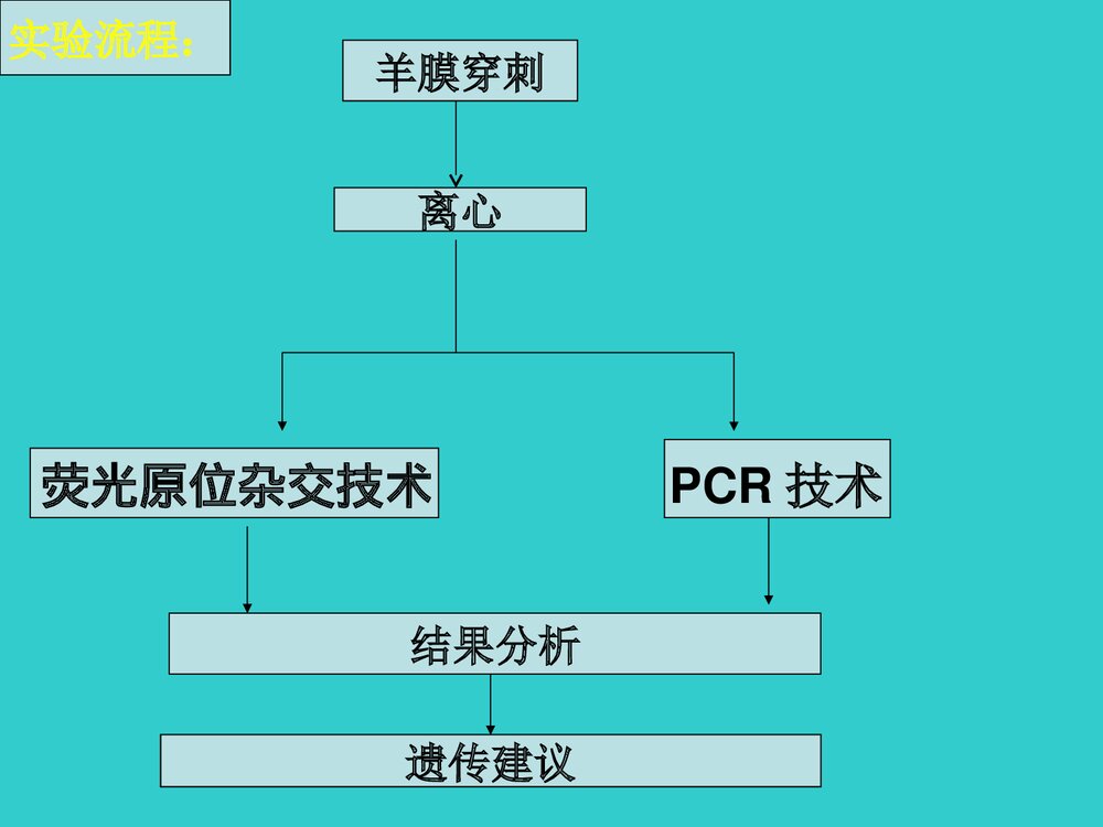 21三体综合征产前诊断PPT课件6