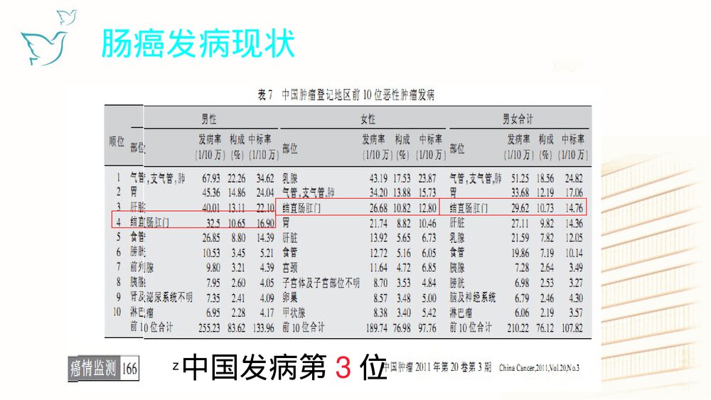 肠癌放化疗的护理要点PPT课件下载2