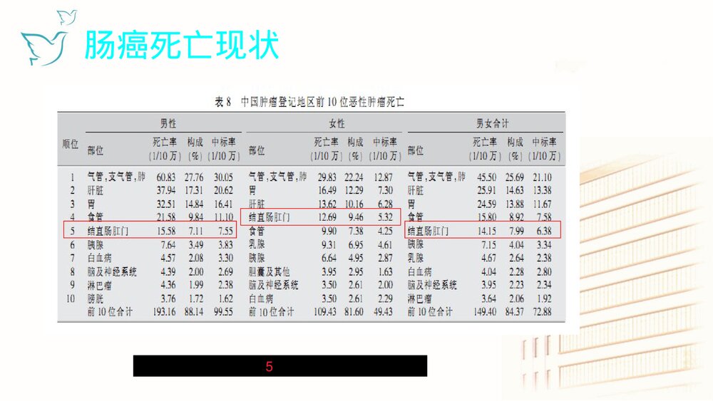肠癌放化疗的护理要点PPT课件下载3