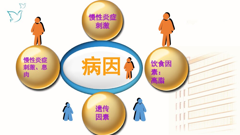 肠癌放化疗的护理要点PPT课件下载5