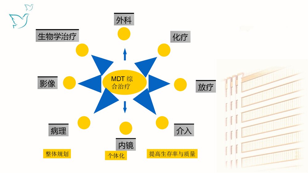 肠癌放化疗的护理要点PPT课件下载10