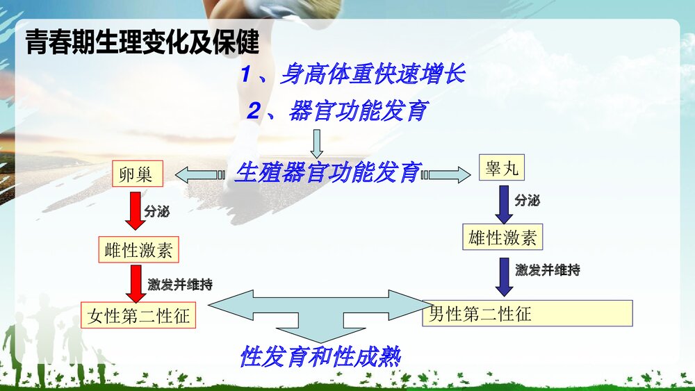 《青春期生理发育与心理健康讲座》PPT课件6