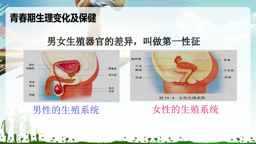 《青春期生理发育与心理健康讲座》PPT课件7